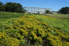 DSC00014