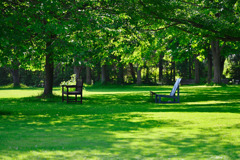 chairs
