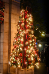 McDuck's Department Store Christmas