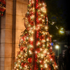McDuck's Department Store Christmas