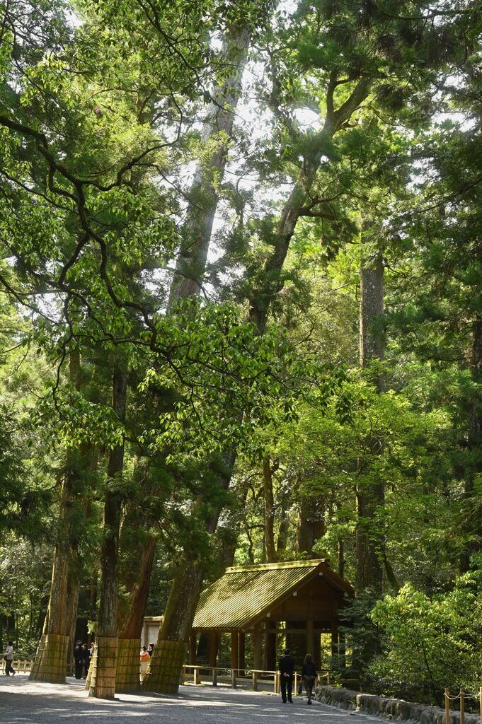 Ise Shrine Approach Road