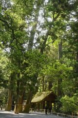 Ise Shrine Approach Road