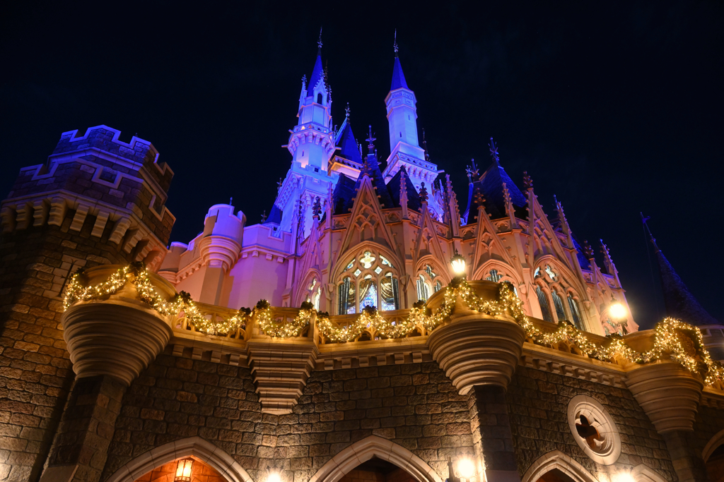 Cinderella Castle