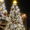 American WaterFront Christmas Tree