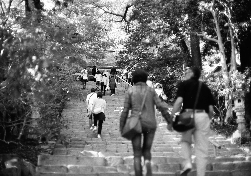 室生寺の初夏
