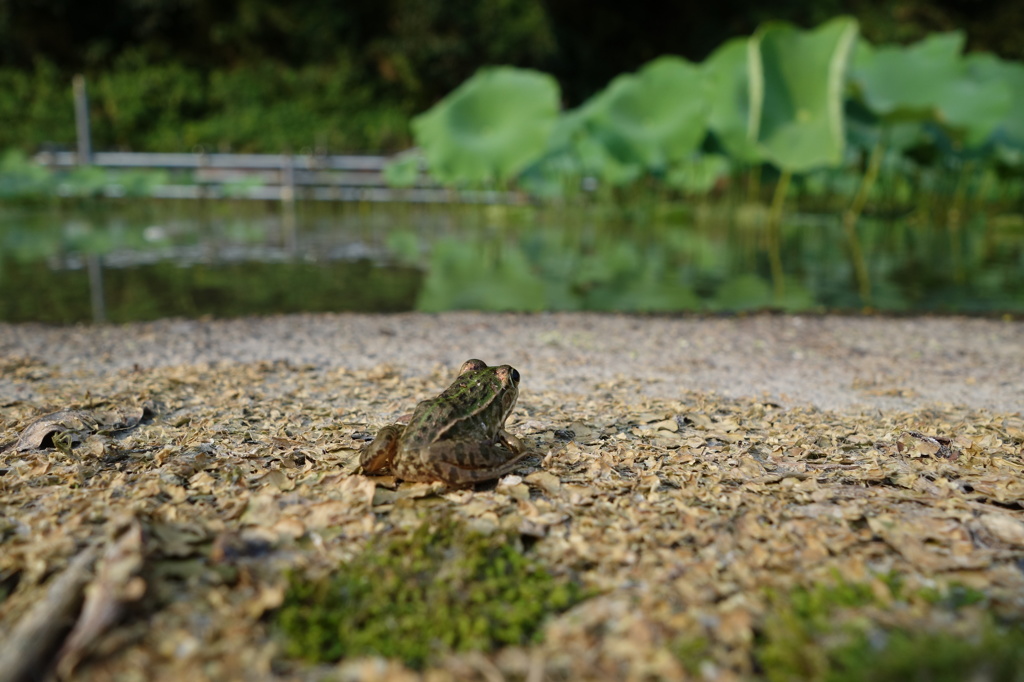 ゴールは目前