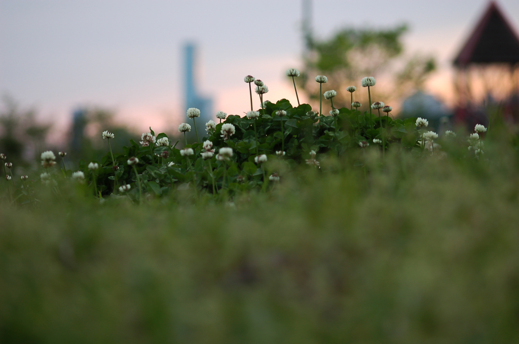 ハルカスの在る風景①