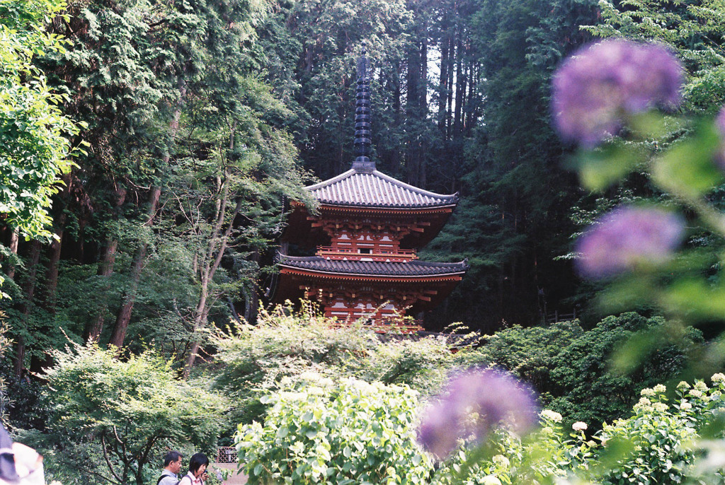 今さら岩船寺