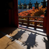 紅葉2013②