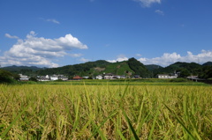 和束町の田園風景