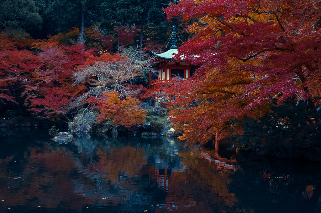 醍醐寺②