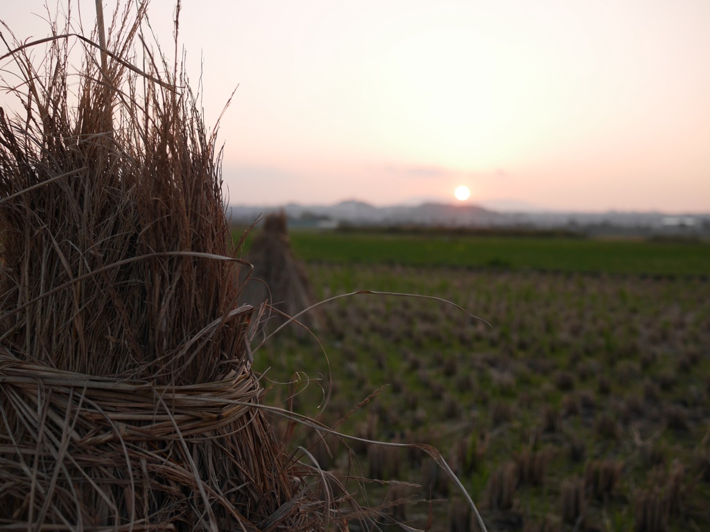 木津川市の夕暮れ