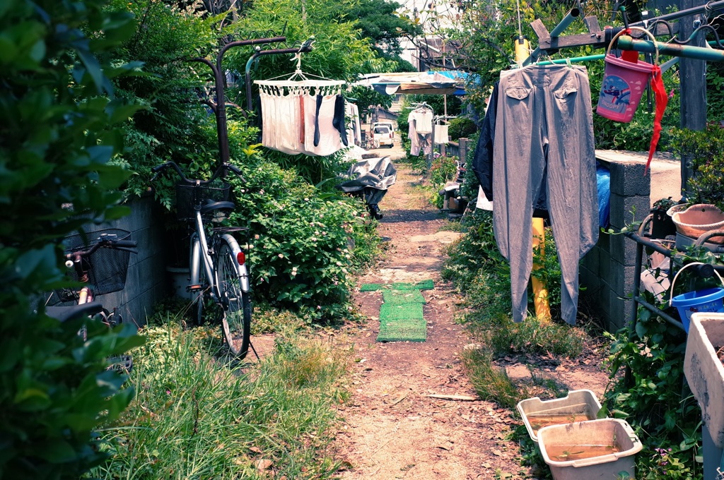 いつか見た光景