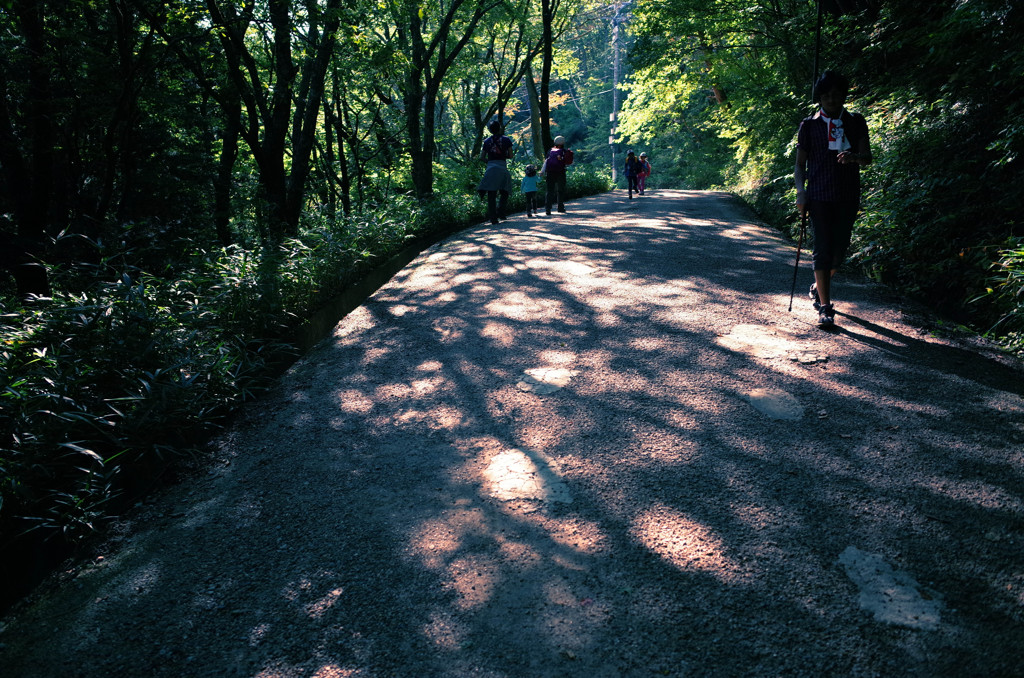 葛城山登山道