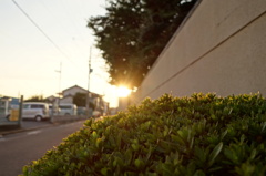 夕暮れ時の街かど