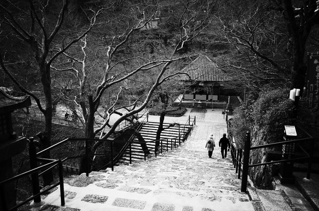 奈良　長谷寺　春⑦