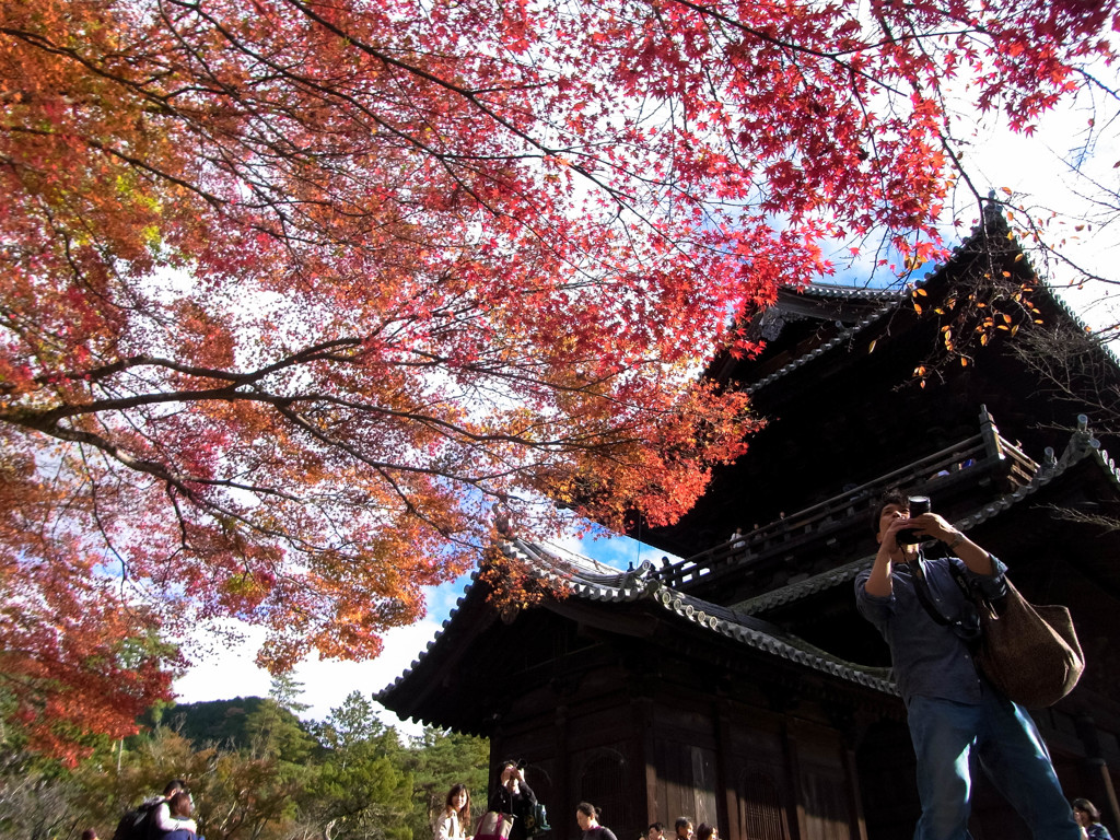 今年の紅葉①