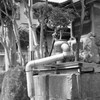 古井戸