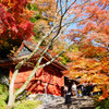 一昨年の紅葉②