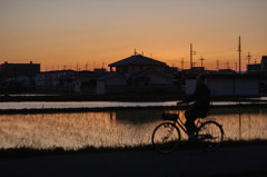 松原の夕暮れ③