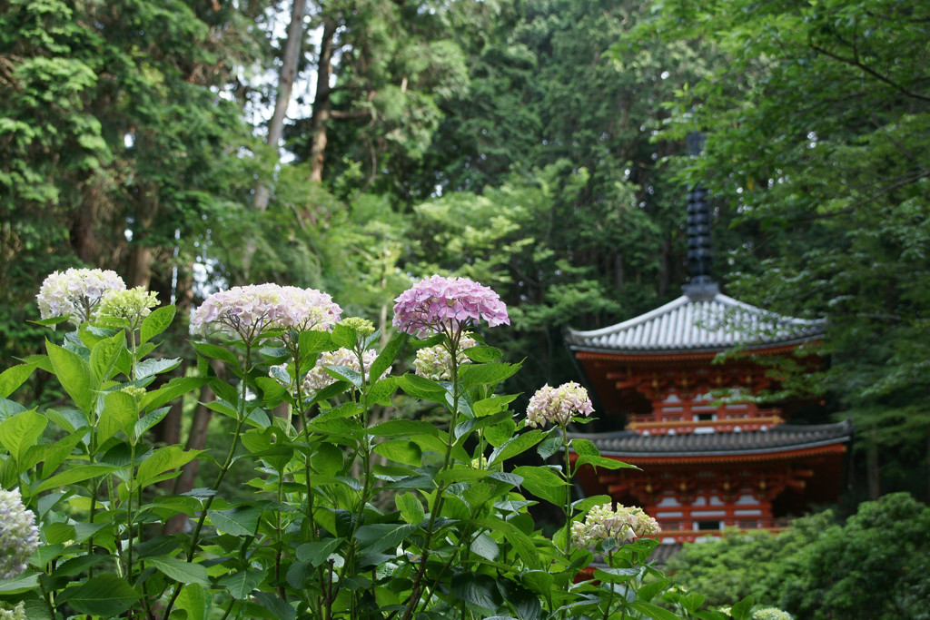 木津川市の名所