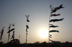 河川敷の鯉のぼり。