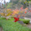 當麻寺③