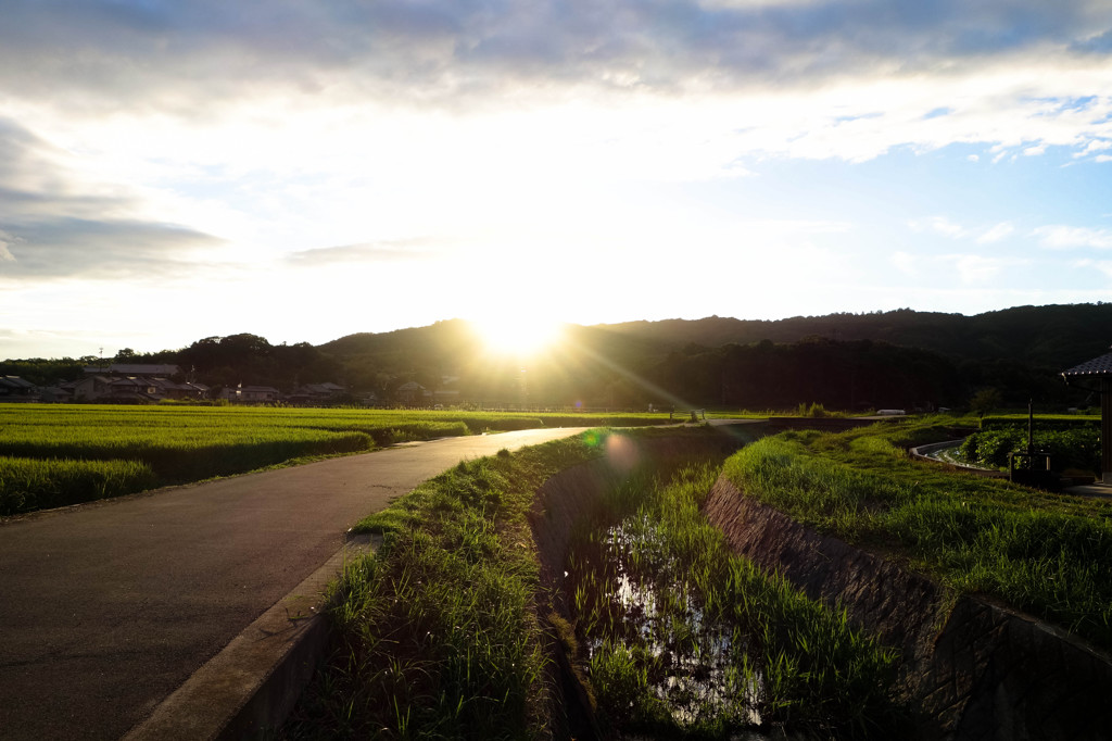 斑鳩町の夕暮れ時