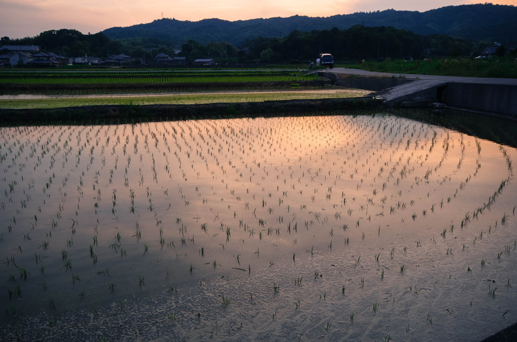 斑鳩の夕暮れ