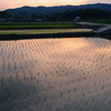 斑鳩の夕暮れ