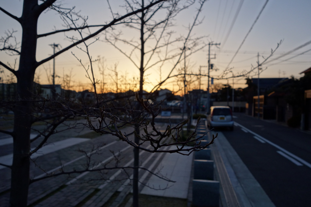 冬の夕暮れ時