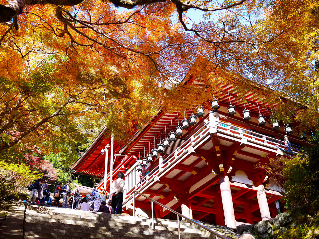 紅葉2013③