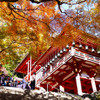 紅葉2013③