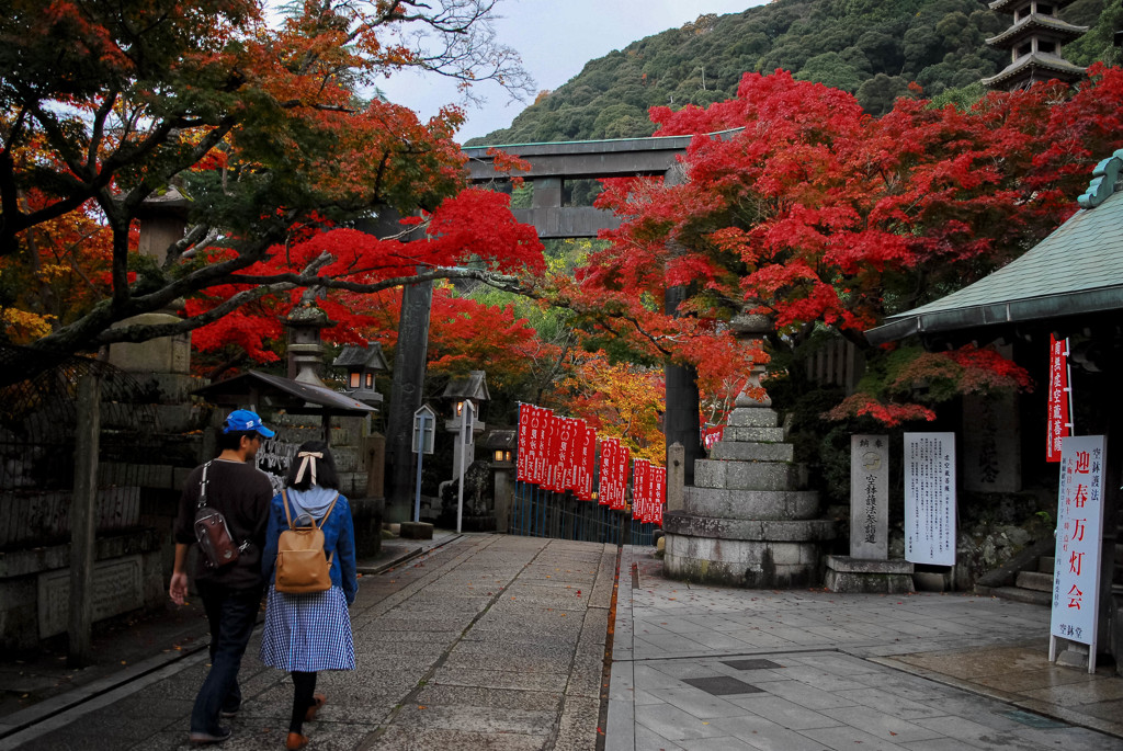 奈良の紅葉