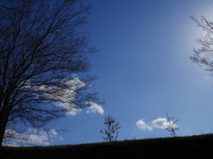 土手の上の青空