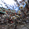 北野天満宮①