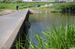 木津川の沈下橋