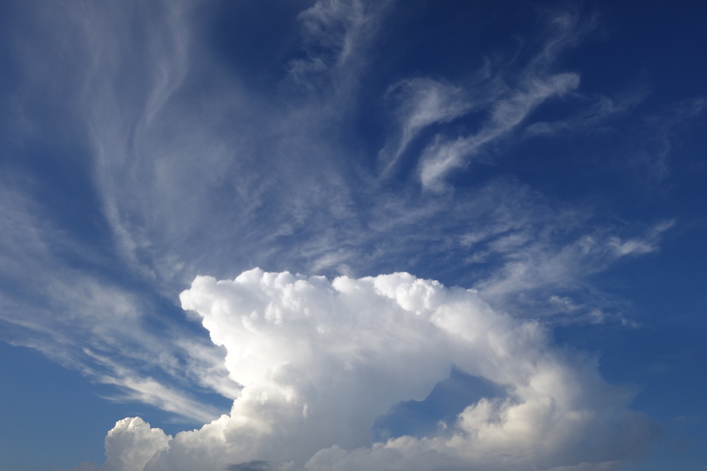  夏の雲