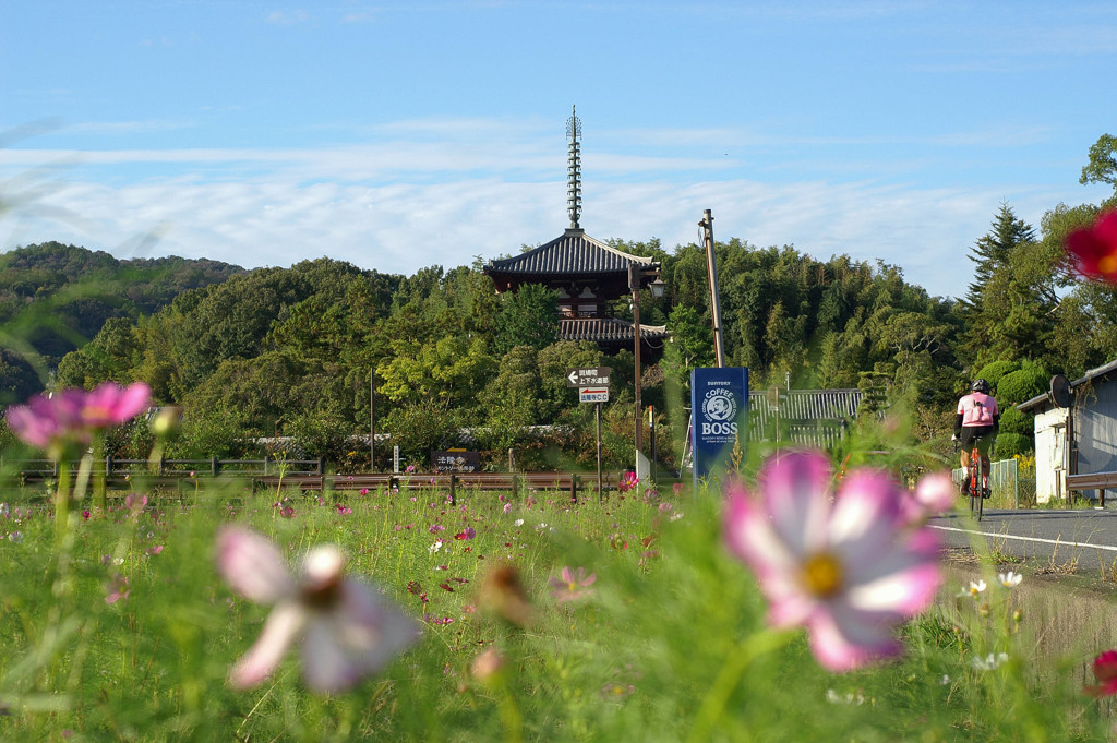 今年は要注目