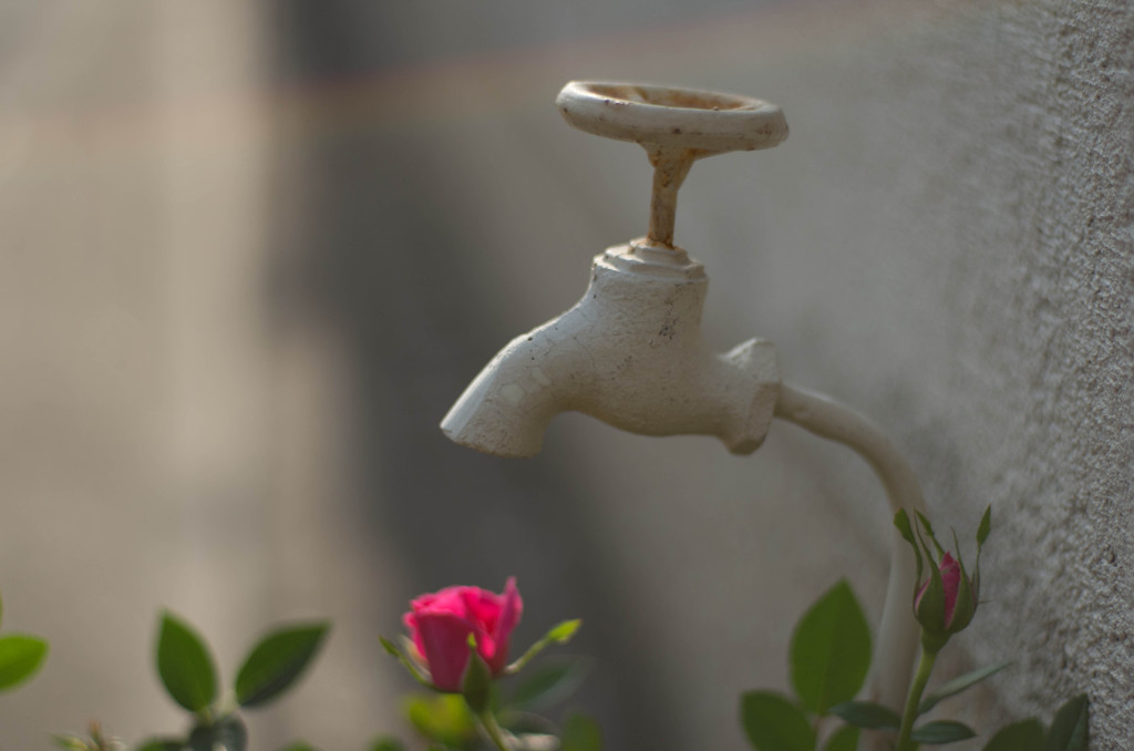 蛇口の在る風景