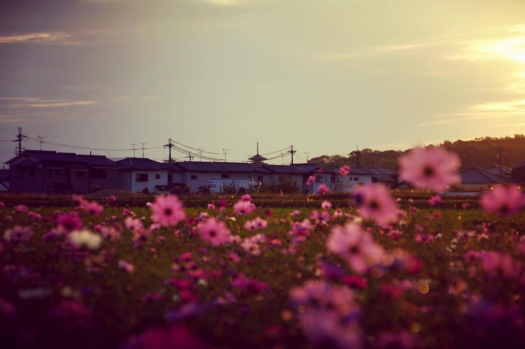 斑鳩の里の夕暮れ時