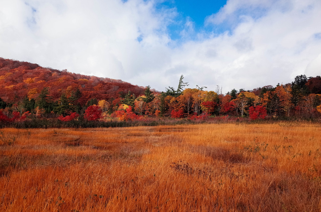 東北の紅葉