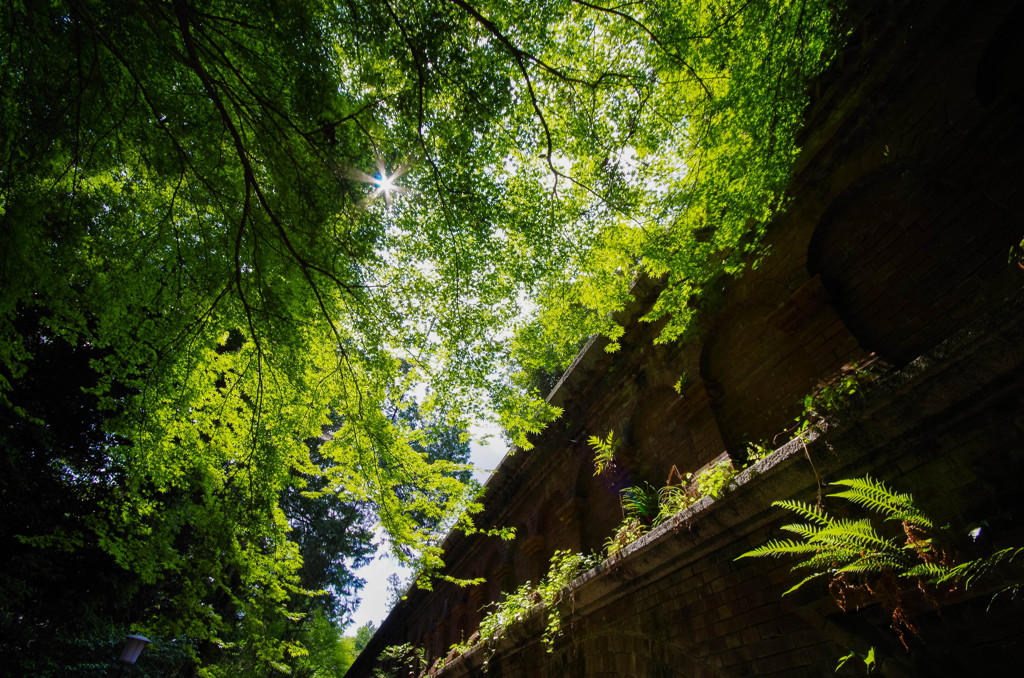 南禅寺水路閣・その３