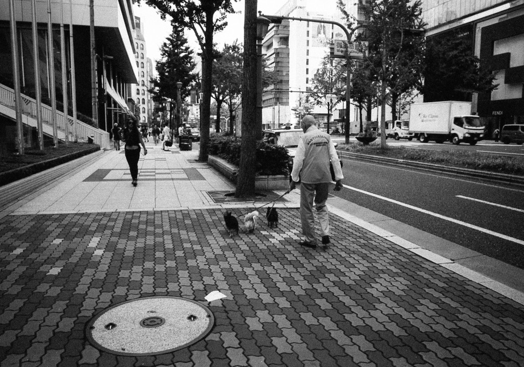 御堂筋・犬のお散歩