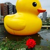 中之島公園薔薇園