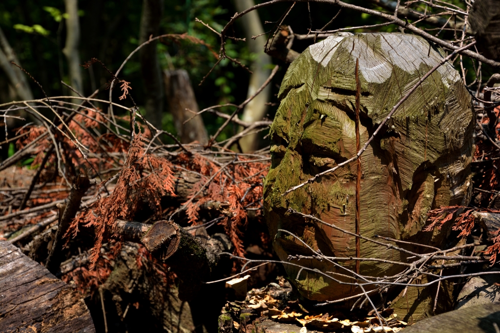 顔だけの彫刻