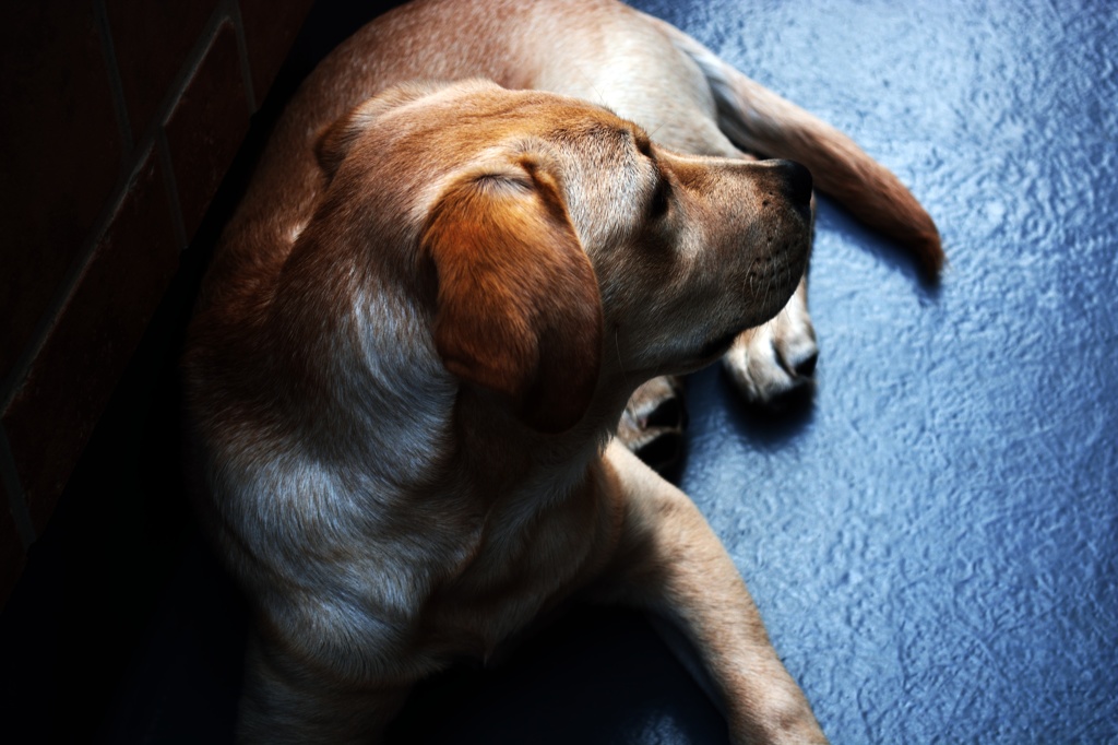 どこ見てるのかな？