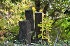 岐阜県恵那郡「岩村城跡のお墓」