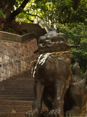 お座り