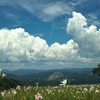 夏の雲
